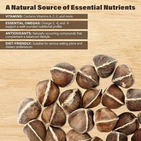 Graines de Moringa Elite PKM1 - Biohacking pour la Longévité et le Bien-être - Substitut de Noix pour Salades et Flocons d'Avoine - Soutien Anti-Âge