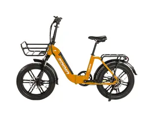 Alloy Aluminum 6061 Frame 20inch Folding Style 500w 48V Rear Hub motor Electric Bike