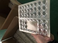 Plateau d'œufs de caille en plastique transparent 24 trous jetable de haute qualité
