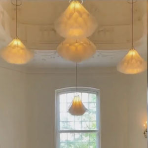 โคมไฟแขวนเพดานทรงดอกไม้แบบไดนามิกดอกไม้ขึ้นลงโคมไฟระย้า - Product Image 2