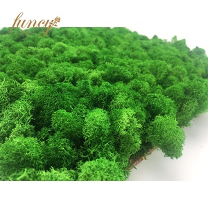 Panneaux de mousse verte naturelle carrée en gros, décoration de bureau, lichen stabilisé préservé, décoration murale de Noël, lichen préservé - Product Image 3