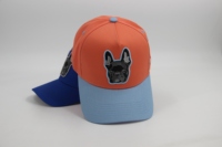 Parche bordado de alta calidad completo, sombrero de papá de 5 paneles, ala curva, gorras de béisbol deportivas no estructuradas de dos tonos, gorra con logotipo personalizado
