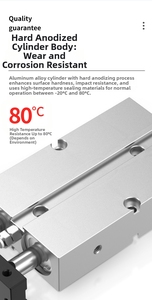 กระบอกลมคุณภาพสูง DiYi ยี่ห้อ Airtac แบบสองแกน สองตัวนำทาง รุ่น TN กระบอกลมแบบสองแกนคู่ พร้อมแม่เหล็ก - Product Image 5