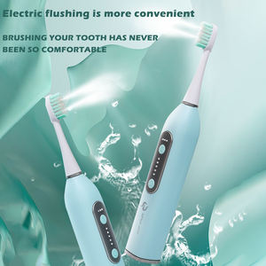 แปรงสีฟันไฟฟ้าใช้ไหมขัดฟันแบบ2 in 1สำหรับมืออาชีพแปรงสีฟันทำความสะอาดฟันและไหมขัดฟันแบบน้ำใน Ipx7เดียว - Product Image 2