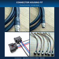 Kabel Jst Xh/sh/zh & Molex 2-6 Pin Kualitas Tinggi Khusus, Pitch 1.0-2.5, Tahan Air Ip66, Konektor Elektronik 12v, Pabrik Merek
