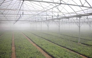 卸売吊り下げ式マイクロスプリンクラー360 °   温室および農業灌漑用回転式噴霧装置 - Product Image 6