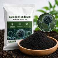 Accélérateur de compostage à haute efficacité pour la solubilisation du phosphore Aspergillus Niger, chauffage rapide pour une matière organique rapide