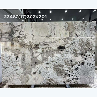 Pierre de luxe brésilienne Pandora salle de bain sol dalle de marbre Patagonie dalle de marbre carrelage Tv panneau mural fond de Table murale