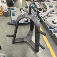 Vente directe d'usine chinoise, prix commercial réduit, machines de gym, équipement de fitness expert, support pour plaques de poids FF54 pour le fitness