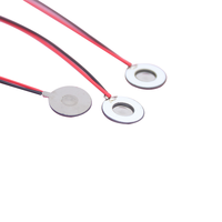 Atomizador ultrasónico de 10mm y 175KHz, elemento piezoeléctrico para nebulizador, Humidificador atomizador ultrasónico