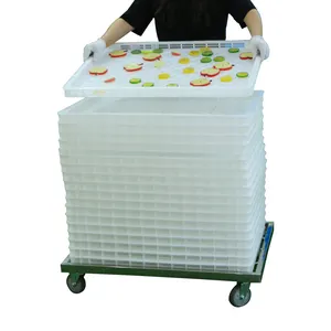 New Type Efficient Developed Hdpe Stackable US Plastic Drying Tray For Dehydration Softgel Candy / Capsule / Vitamins