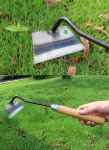 <span class=keywords><strong>Houe</strong></span> à légumes courbée en <span class=keywords><strong>acier</strong></span>, outil à main polyvalent pour l'agriculture et les fleurs, conception <span class=keywords><strong>creuse</strong></span> - Product Image 2