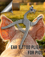 Nouvelles pinces à tatouer les oreilles de porcs JFST, modèle N 0,8 kg, numéros 0-9, lettres A-Z, encre noire, pour la gestion du bétail et l'identification animale