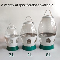 Fournitures et accessoires pour pigeons de haute qualité, abreuvoir et fontaine à eau transparents en plastique pour pigeons de 2L à 6L