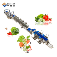Machine de lavage entièrement automatique pour fruits et légumes, équipement de nettoyage de légumes à pulvérisation haute pression