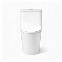 Vente en gros directe usine Cuvette de toilettes WC en céramique monobloc moderne à double chasse (chasse directe et siphonique) avec siphon en P/S