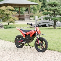 Moto électrique tout-terrain pour enfants DM-900 950W, 36V 7.8Ah, vitesse maximale 35 km/h, autonomie 30 km