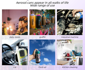 Biểu Tượng Tùy Chỉnh Rỗng Aerosol Kim Loại Canister 65*158 Kích Thước Tinplate Chất Liệu Với Van Cho Sơn & Hóa Chất Công Nghiệp Sử Dụng - Product Image 6