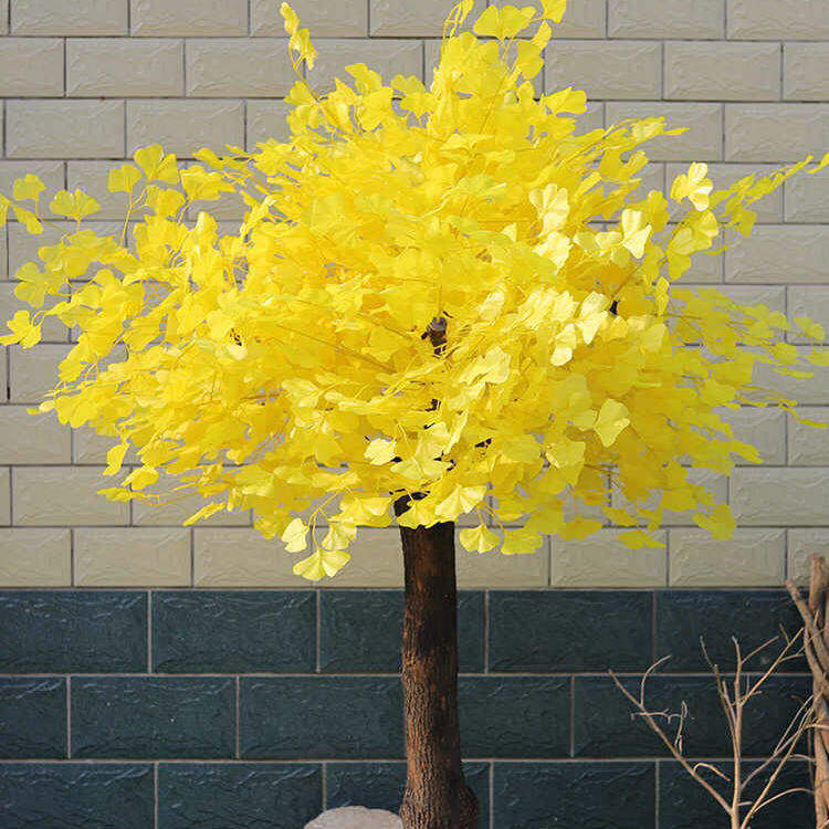 จำลองแปะก๊วย