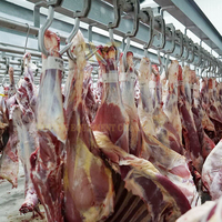 Projet clé en main d'abattoir, ligne d'abattage de bovins, équipement d'abattoir pour vaches, machine d'abattage de taureaux à vendre