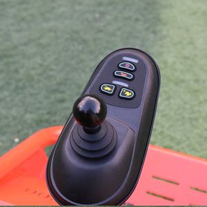 2024 populaire utilisé 250w voiture jouet électrique 48v E vélo Cargo vélos électriques pour enfants ours 130kg - Product Image 6