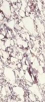 Pierre de marbre Calacatta Viola Purple 2700 X 1200 X 6 mm, ardoise rocheuse 2,7 m 2700 mm 106'' 6 mm, carrelage mural de salle de bain, dalle en porcelaine Bvlgari