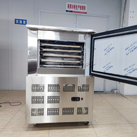 Congélateur vertical compact de 150 L à -45 degrés avec compresseur de refroidissement et fonction de refroidissement rapide