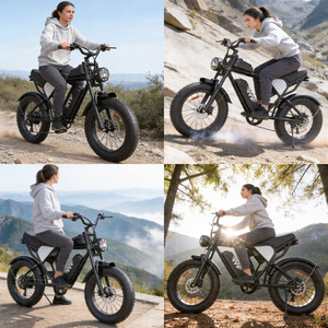 Custom EBike Fast 20 Inch 48V Disc Fat Tire Mtb E Dirt Bike Hybrid Mountain for Adults Q20 US EU Warehouse in Stock Elektr - Product Image 6