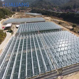 中国のソーラー水耕商業温室用品