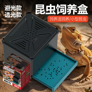 Caja de cría de reptiles <span class=keywords><strong>para</strong></span> mascotas NOMOY, <span class=keywords><strong>jaula</strong></span> de Caracol araña saltadora, recinto de Grillo, hábitat de tarántula arbórea - Product Image 6