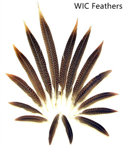 Lông Đuôi Gà Lôi Vàng Dài 10-75Cm/4-30in Màu Tự Nhiên - Product Image 6