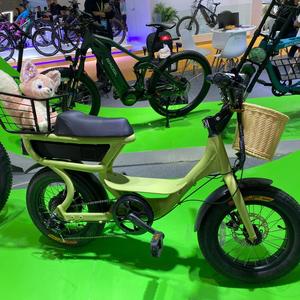Oferta Especial: Batería de Litio de 36V 25Ah para Bicicleta Infantil con Motor Trasero de 250W, Neumático Ancho de 16 Pulgadas, Modelo EKB02. ¡Gran Oferta! También Disponible en 48V 10Ah Lit. - Product Image 1