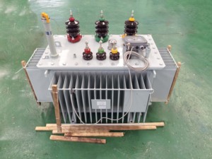 Transformateur immergé dans l'huile triphasé haute/moyenne tension Xi'an Xikai S11-125/10 10kV <span class=keywords><strong>1</strong></span> MVA 50/60Hz pour distribution d'énergie, directement de l'usine - Product Image 2