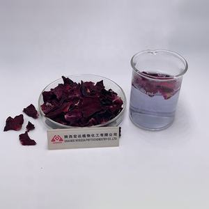 HONGDA geröstete gefrorene getrocknete trockene rote Rosen blätter zum Teetrinken - Product Image 3