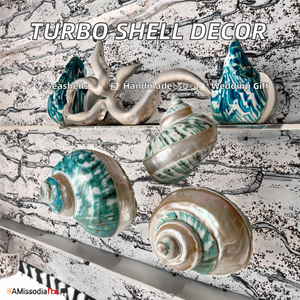Conchas Marinas Naturales Turbo Hechas a Mano, Duraderas, Decoración para el Hogar, Exhibición Oceánica, Decoración para Bodas Costeras, Manualidades con Temática de Playa - Product Image 2