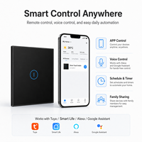 Interruptor de Panel Táctil de Vidrio Inteligente WiFi 10A EU con Control por Voz y Opción de Neutro para Importadores de Mediana a Gran Escala con Foco en Eficiencia Energética
