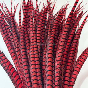 100-110 cm Rouge Lady Amherst Faisan <span class=keywords><strong>Plume</strong></span> Plumes Teints pour Mariage Carnaval Danse Performance Costumes Vêtements Décoration - Product Image 6