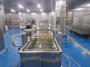 Máquina Automática de Lavado por Burbujas con Diseño de Impacto de Agua y Burbujas de Alta Presión para Talleres de Procesamiento de Alimentos - Product Image 6