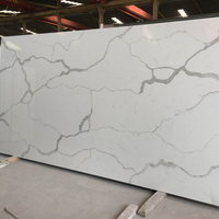 Wiselink Moule à surface solide découpé en feuilles de résine acrylique ignifugé imperméable panneau mural en pierre artificielle bureau de réception-NSF