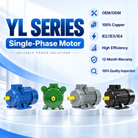 Moteur à induction monophasé BIOTE 220V série YL 1,5 kW 2 CV YL90L-4 50 Hz IP44 entièrement fermé pour pompe de machines agricoles