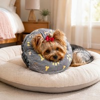 Collier de récupération gonflable doux pour chien, avec housse en velours peluche, boucle réglable, lavable, pour petits animaux
