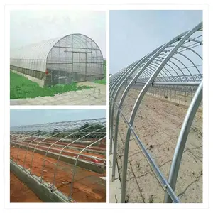 Filme do túnel alto coberto tomate greenhouse com a rede de sombra casas verdes agrícolas