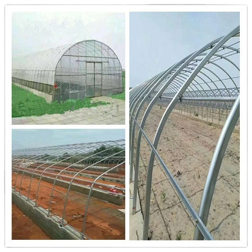 TYT Large Steel Multi Span Film