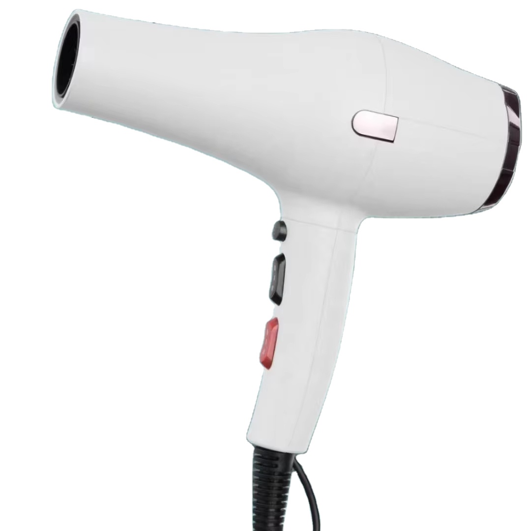 Professional Electric Hair Dryer for Hair Care Hairdresser Styling Device Salon Tool Discount Price