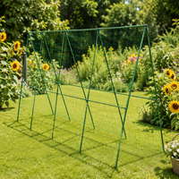 Tuteurs de plantes en métal pour tomates, aubergines, haricots, vignes, et piquets de légumes pour serres et jardins domestiques