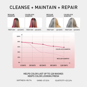 OEM y ODM Etiqueta Privada Venta caliente Color Lock Anti-Fade Shampoo salón profesional Color Protect - Product Image 5