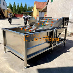 Tự động 1000 kg/giờ rau bina & Apple Máy làm sạch không khí bong bóng loại-cho Trái Cây Đậu Tương & nước nguyên liệu - Product Image 2