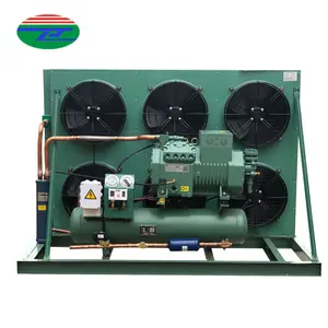 Xiamen Jialiang Cold room compressor refrigeration unit compressor refrigeration