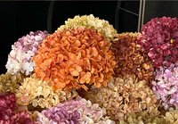 Hortensias artificiels en soie aux couleurs d'automne, effet brûlé, pour arrangements floraux vintage, accessoires de photographie et décoration de salon