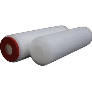 Filtre à cartouche d'air à membrane PTFE 10 "0.45 um pour filtration de biogaz